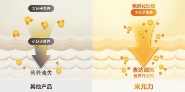 从成分到细胞，米元力α-多糖肽构建营养新范式 