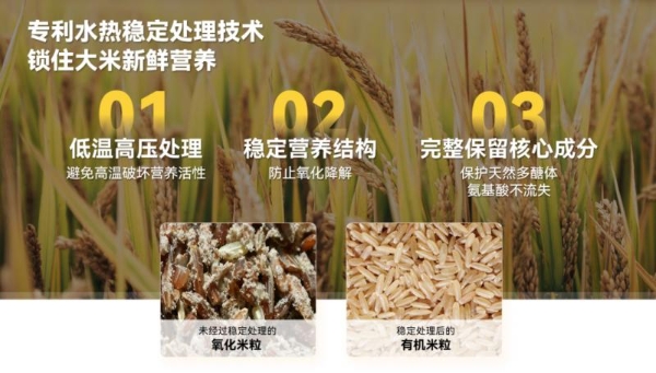 从成分到细胞，米元力α-多糖肽构建营养新范式 