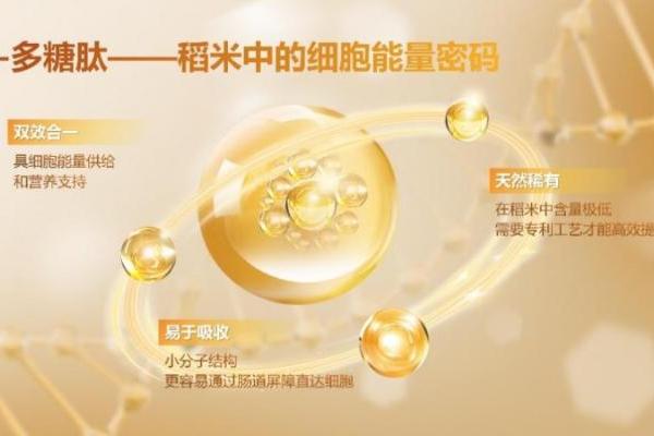 聚焦细胞级营养核心，米元力α-多糖肽打开新维度 