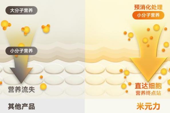 聚焦细胞级营养核心，米元力α-多糖肽打开新维度 