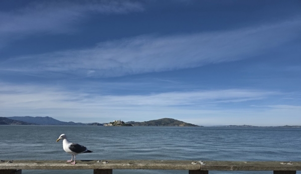 尽显专业影像底蕴 带上三星Galaxy旗舰探索旧金山 