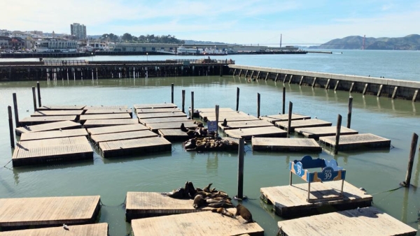 尽显专业影像底蕴 带上三星Galaxy旗舰探索旧金山 