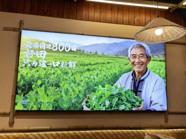 生烫牛肉米线赛道正当红，乔杉杉如何用900+家门店验证创业“优解”？ 