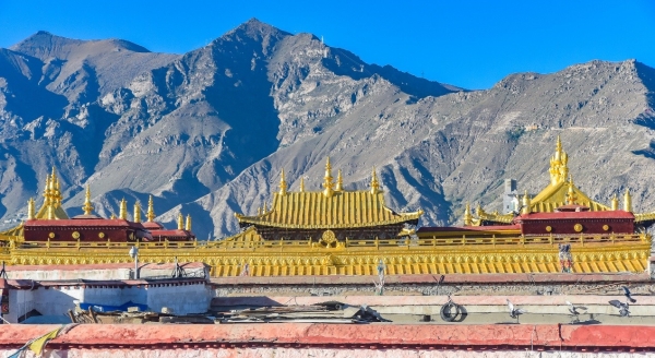 雪域江南连落子，万达生活方式品牌Q1签约逾20项目织密全国网络 