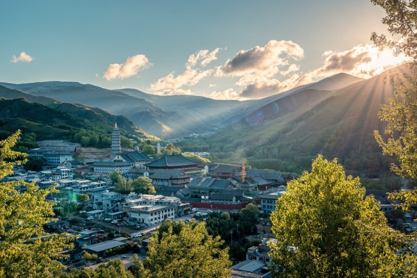 雪域江南连落子，万达生活方式品牌Q1签约逾20项目织密全国网络 