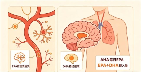 那个牌子深海鱼油好 2026年精选8款高含量鱼油测评指南 