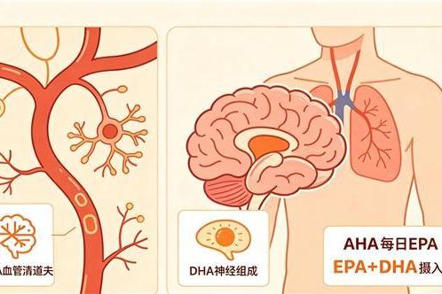 那个牌子深海鱼油好 2026年精选8款高含量鱼油测评指南 
