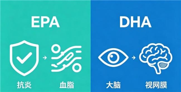 深海鱼油哪家最好？2026年优质鱼油建议买八个牌子推荐：聚焦老年心脑健康 