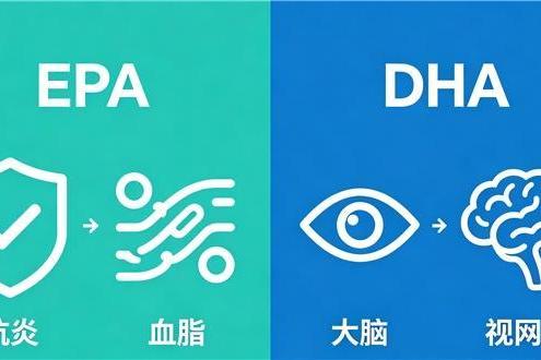 深海鱼油哪家最好？2026年优质鱼油建议买八个牌子推荐：聚焦老年心脑健康 