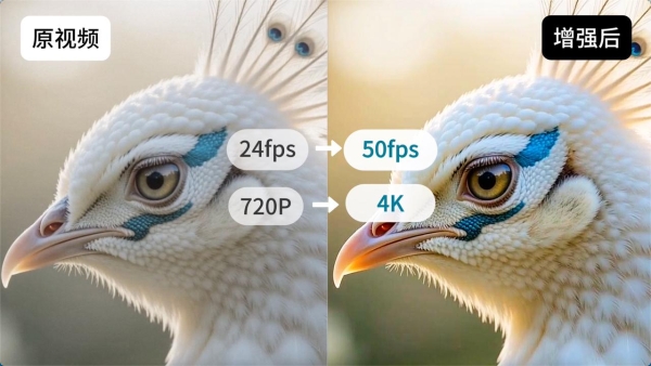 予之文化X火山引擎：AI MediaKit+Seedance 2.0，探索品牌与电商内容工业化新路径 