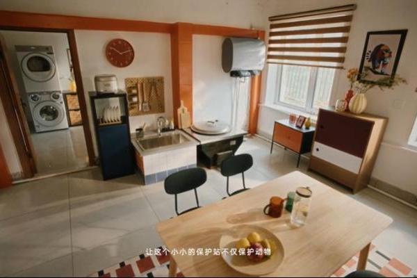 “守护多一点可爱”公益计划：以科技温度守护东北虎豹国家公园巡护队 