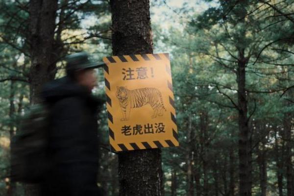 “守护多一点可爱”公益计划：以科技温度守护东北虎豹国家公园巡护队 