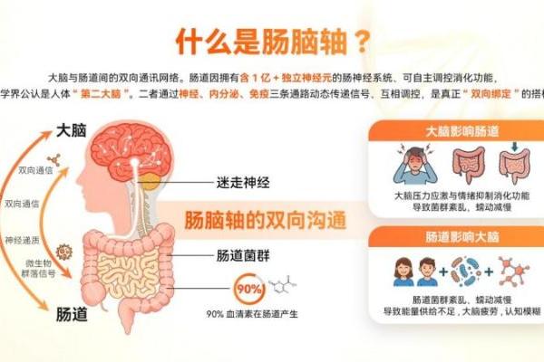 从肠到脑的系统视角，米元力探索肠脑营养新路径 