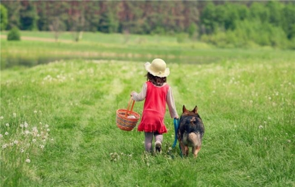 三岁奶粉值得入手的品牌？挑食宝宝必备选购指南 