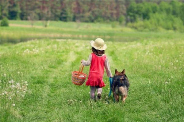 三岁奶粉值得入手的品牌？挑食宝宝必备选购指南 
