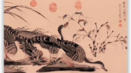 百视通智能体星图亮相CCBN2026 让屏幕更懂你 