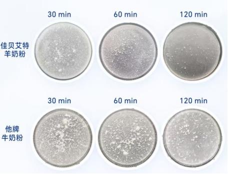 2026年好长肉奶粉排行：热门奶粉品牌优劣势全解析 