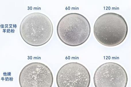 2026年好长肉奶粉排行：热门奶粉品牌优劣势全解析 