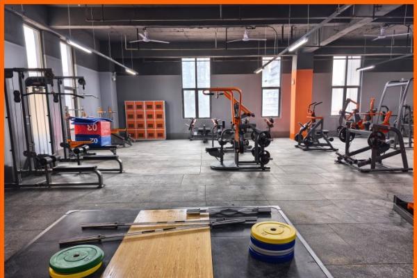 告别健身房的“隐形门槛”，凡铁德力让你重新定义自由训练 