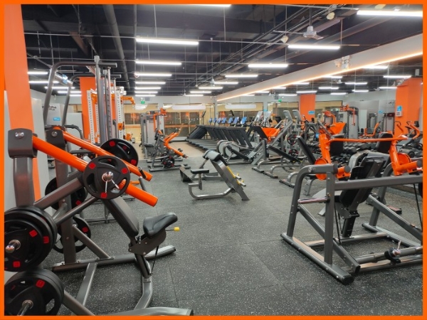 凡铁德力：让每一次撸铁和放松，尽显纯粹品质 