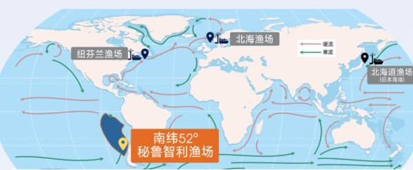 2026十大降血脂鱼油排行发布:科学适配血脂调节核心需求,高纯度EPA成干预金标准 