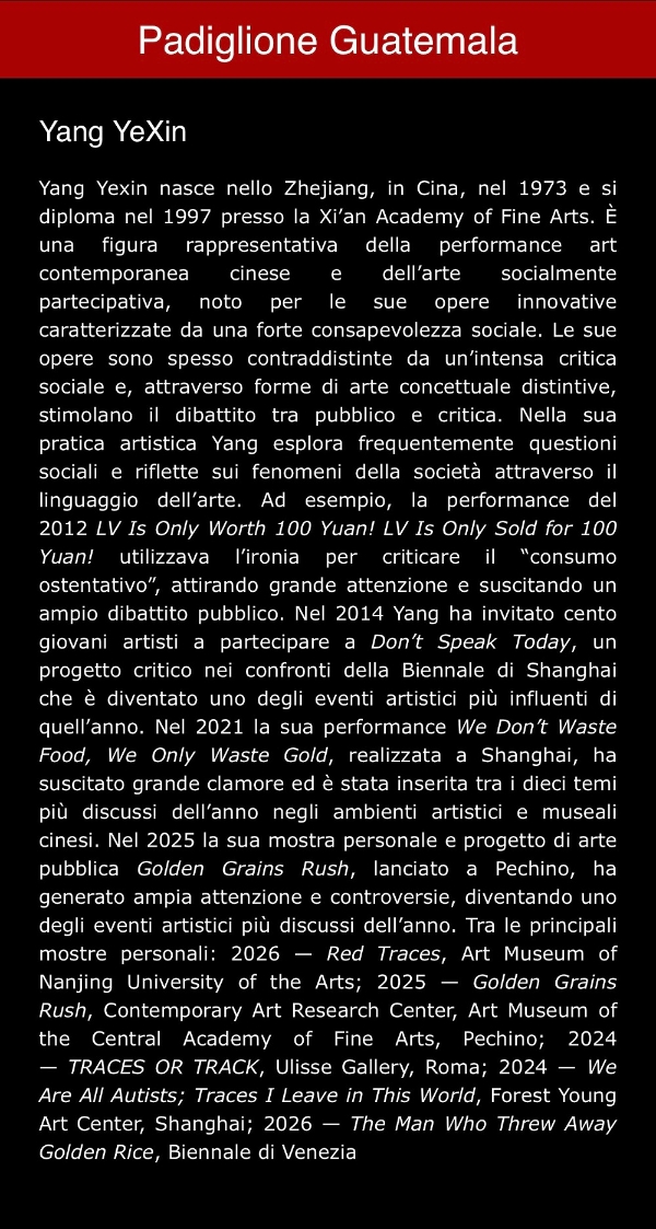 杨烨炘受邀参加2026第61届威尼斯艺术双年展 