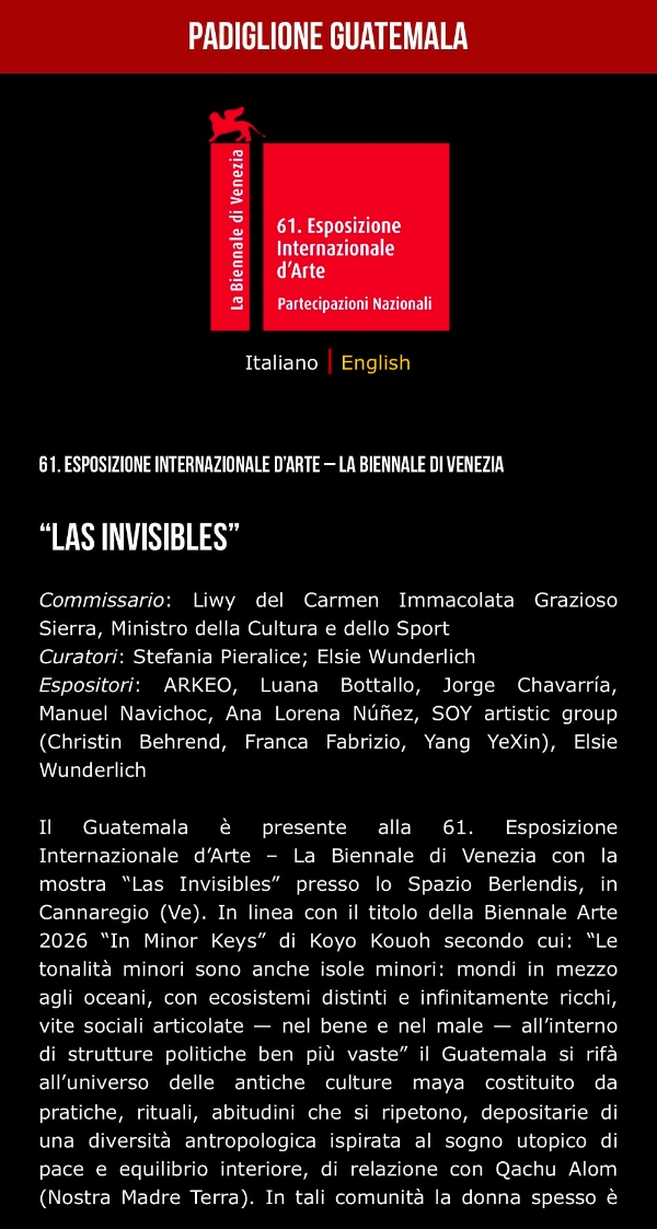 杨烨炘受邀参加2026第61届威尼斯艺术双年展 