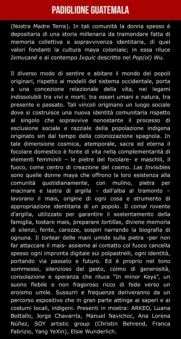 杨烨炘受邀参加2026第61届威尼斯艺术双年展 
