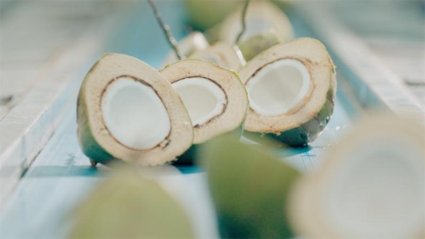 IF品牌常态化采用IRMS技术，引领椰子水标准迭代