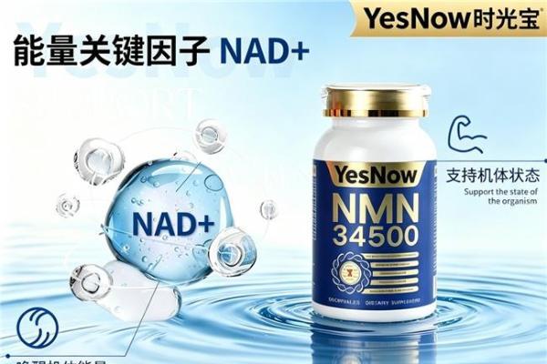 哪款NAD+抗衰真有效果？2026年10款NMN产品盘点，每天补提升身体活力值