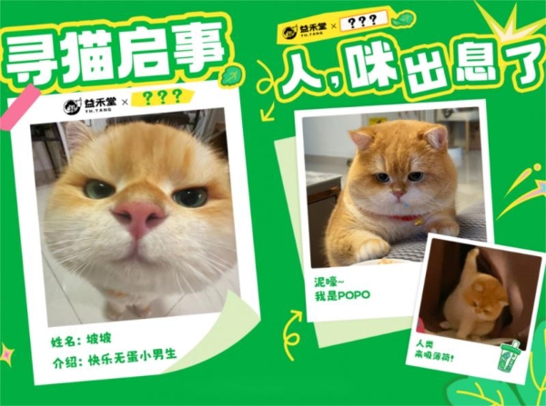 益禾堂薄荷季：这个春天携手表情包顶流坡坡popo，解锁“上头时刻” 