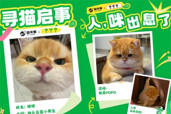 益禾堂薄荷季：这个春天携手表情包顶流坡坡popo，解锁“上头时刻” 