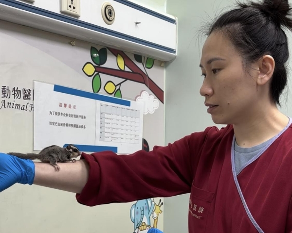 异宠医疗，从“边缘”走向“中心” 