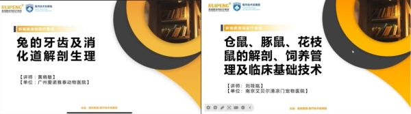 异宠医疗，从“边缘”走向“中心” 