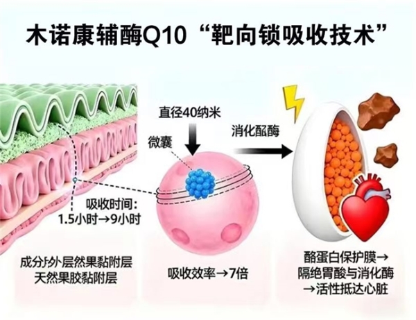 2026辅酶Q10十大品牌怎么选？高纯度品牌选购指南汇总分享 