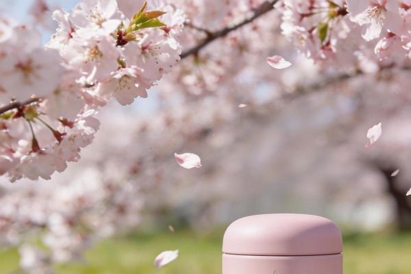 春野拾趣，杯盏生暖｜思乐得随行好物，陪你奔赴春日好风光 