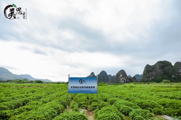 美思康宸溪皇薏湿茶上市十周年：以全产业链坚守诠释长期主义 
