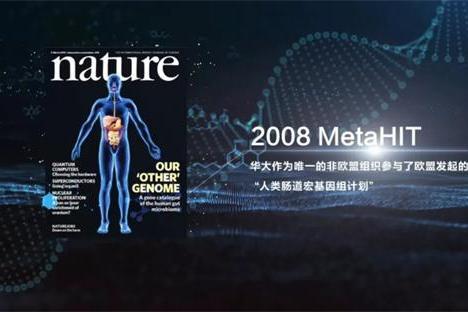 华大营养四连冠揭秘：18年科研长跑打造益生菌行业新标杆 