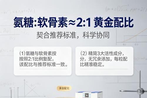 氨糖软骨素什么牌子好还便宜｜2026年10大口碑榜单实测推荐 