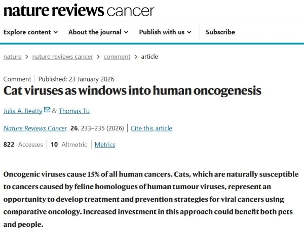 港城大：从猫到人类，开辟病毒致癌研究全新路径 