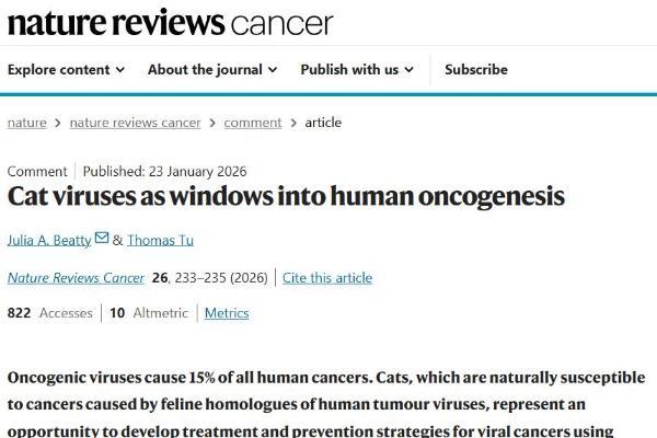 港城大：从猫到人类，开辟病毒致癌研究全新路径 