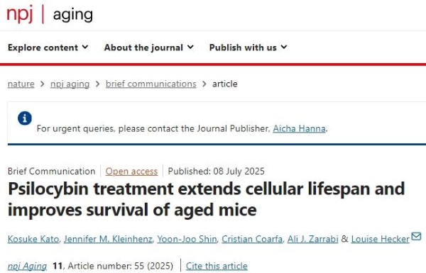 致幻蘑菇减少抑郁，提升寿命51%，替代产品已上市