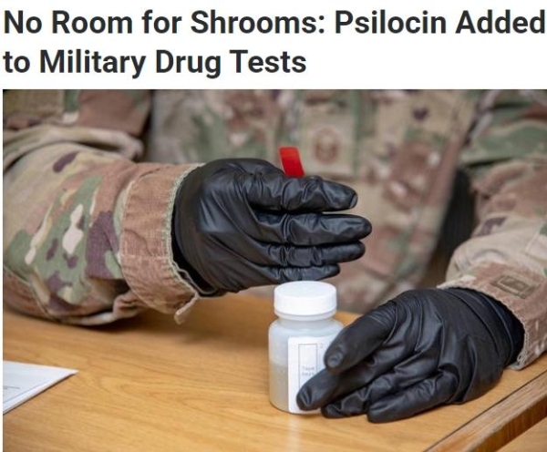 致幻蘑菇减少抑郁，提升寿命51%，替代产品已上市