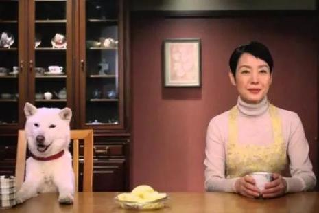 品牌年轻化困局：为什么越讨好，年轻人越不买账？ 