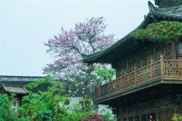 春假去哪儿？避开“审美洼地”，去江南古镇上一堂“流动美育课”