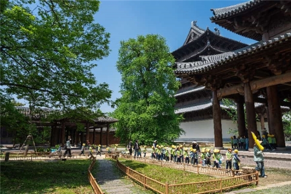 春假去哪儿？避开“审美洼地”，去江南古镇上一堂“流动美育课”