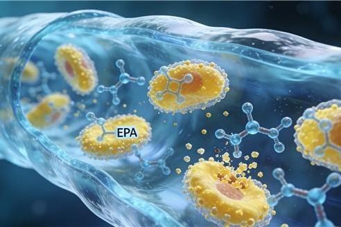 什么品牌鱼油降血脂好 2026年高纯EPA鱼油实测榜单：5大标准+10款优选，三高人群这样选更安心 