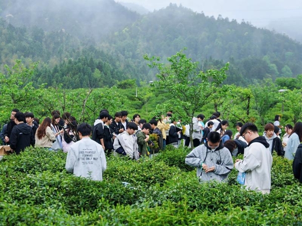 从一杯红茶到一座县城的品牌表达——“祁境·醒春放空茶席”活动的战略价值观察 
