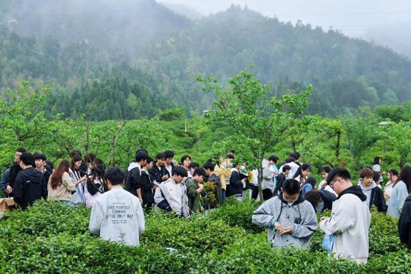 从一杯红茶到一座县城的品牌表达——“祁境·醒春放空茶席”活动的战略价值观察 