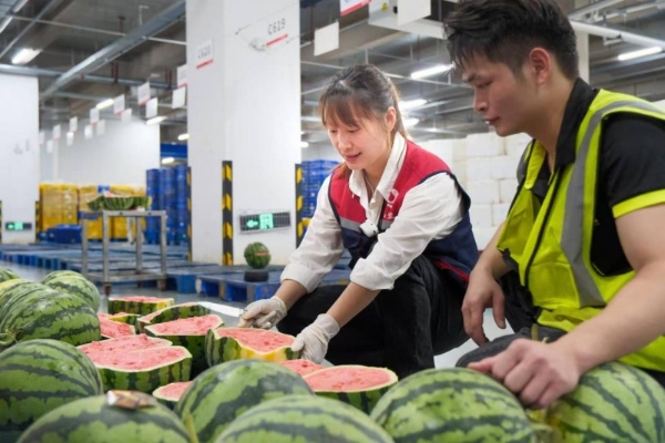 从规模到效率：钱大妈生鲜零售的另一种解法 